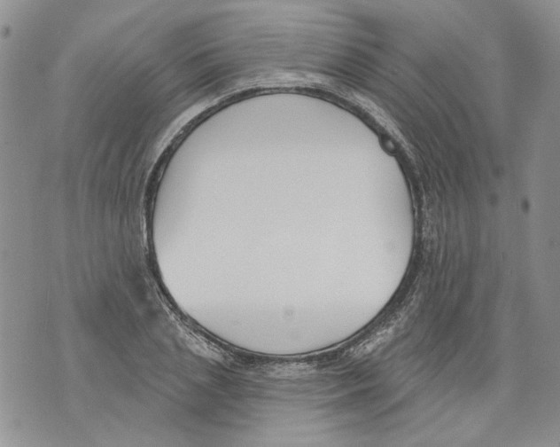 X0000071770837200607282211