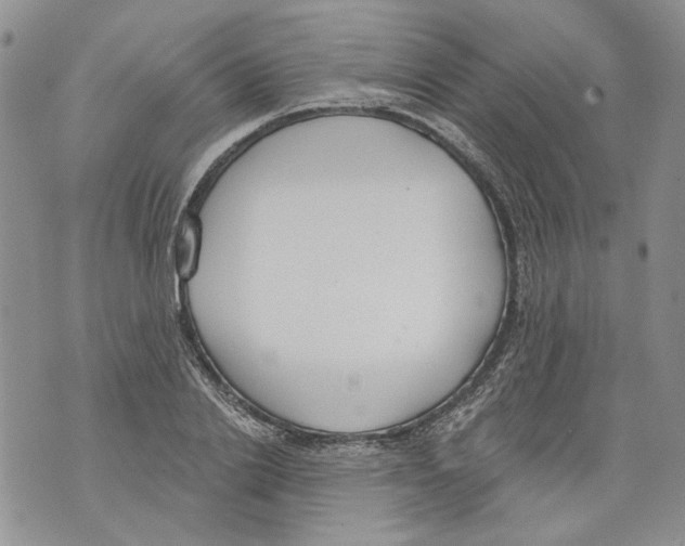 X0000071770838200607282211