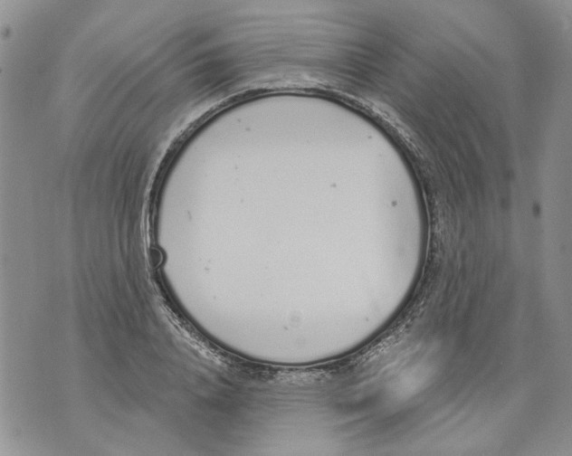 X0000071770840200607282211