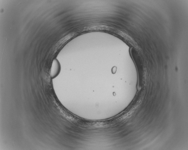 X0000071770841200607282211