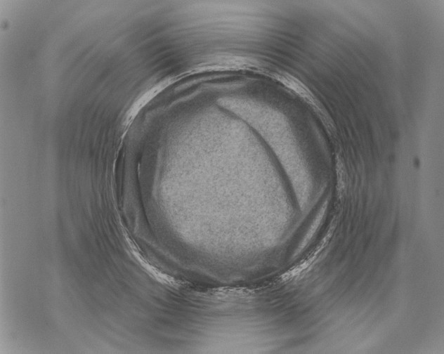 X0000071770842200607282211