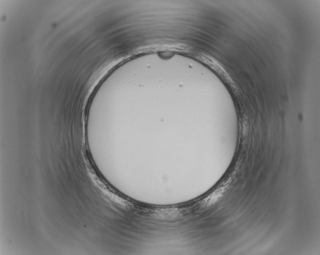 X0000071770844200607282211