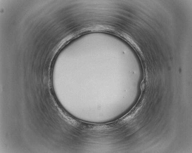 X0000071770845200607282211