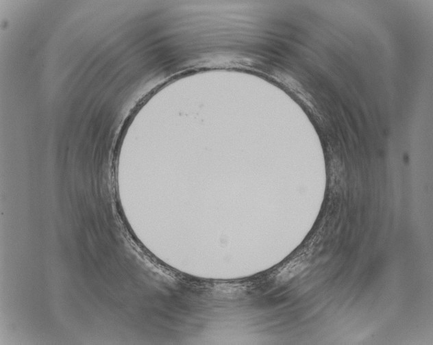 X0000071770848200607282211