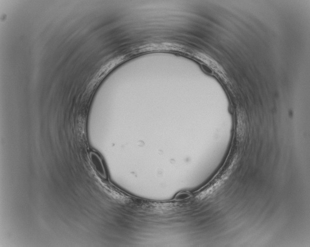 X0000071770849200607282211