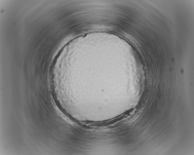 X0000071770851200607282211