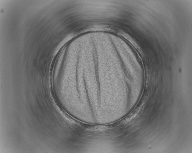 X0000071770853200607282211