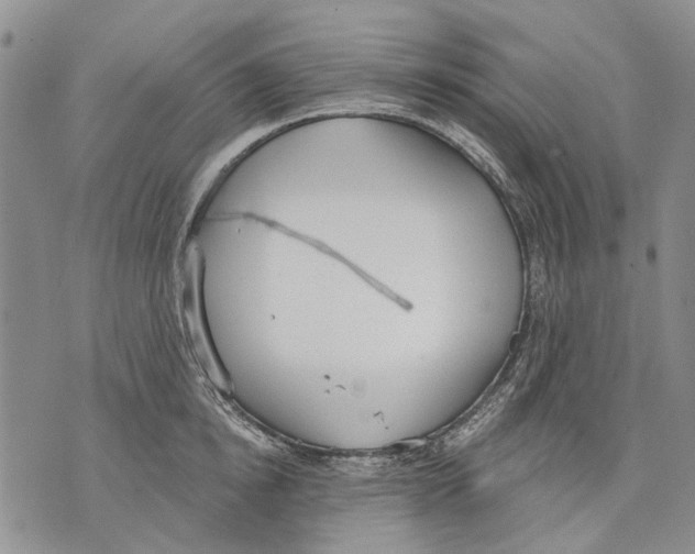 X0000071770854200607282211