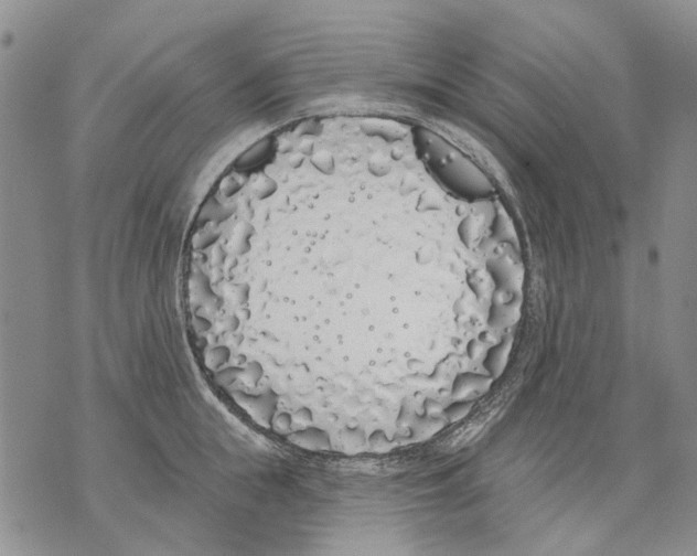 X0000071770855200607282211