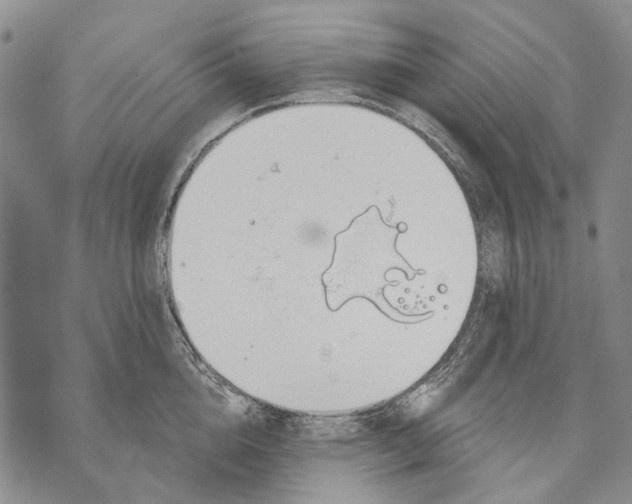 X0000071770856200607282211