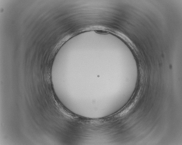 X0000071770857200607282211