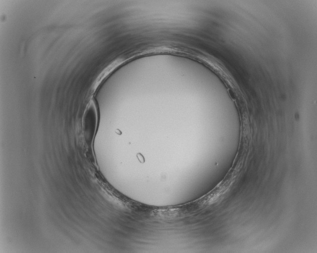 X0000071770858200607282211