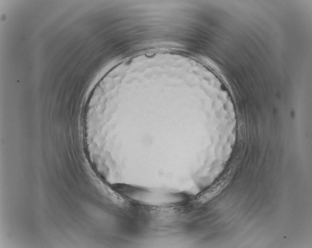 X0000071770859200607282211