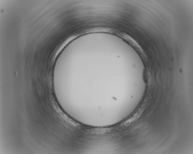 X0000071770860200607282211