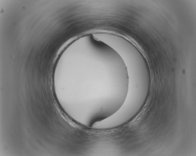 X0000071770862200607282211