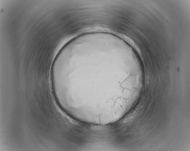 X0000071770863200607282211