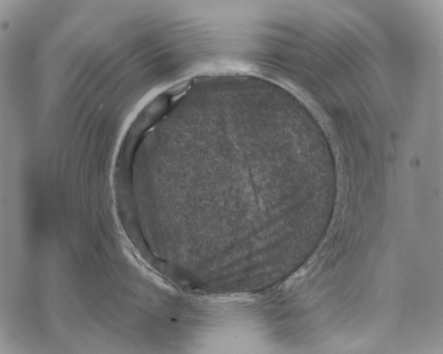 X0000071770864200607282211