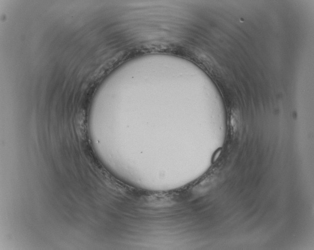 X0000071770867200607282211