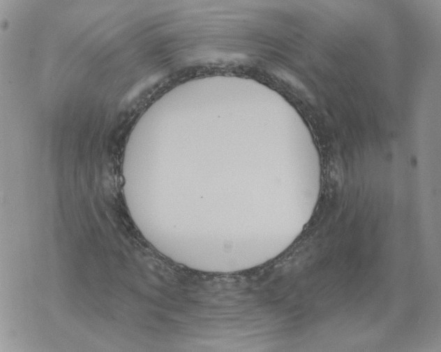 X0000071770869200607282210