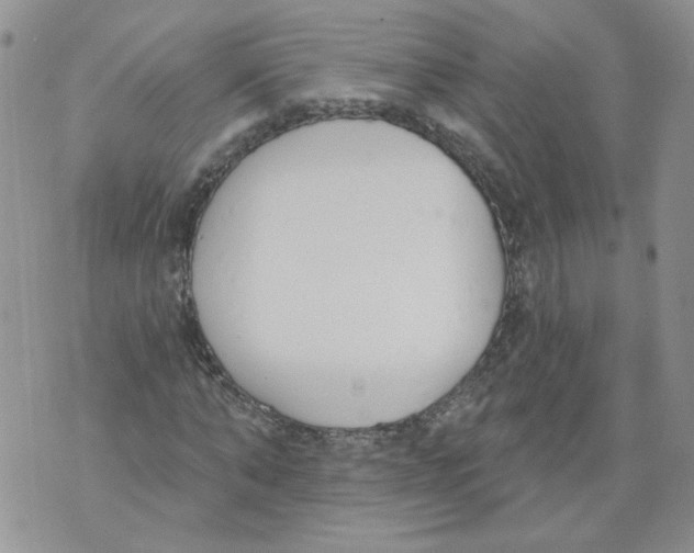 X0000071770870200607282210