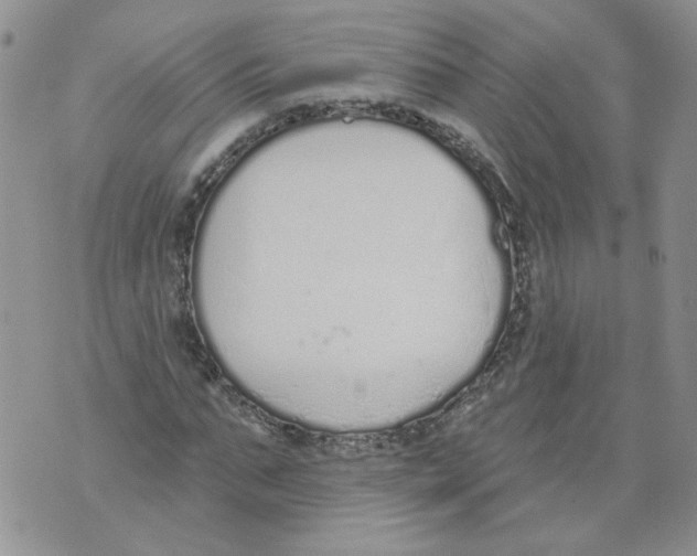 X0000071770871200607282210