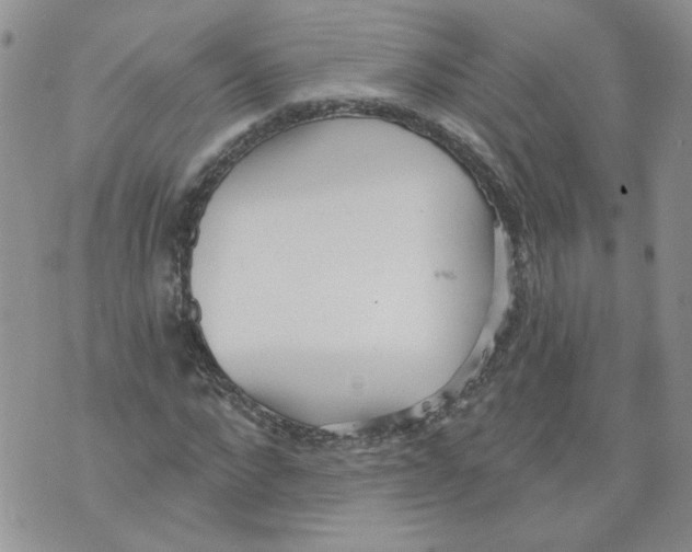 X0000071770872200607282210