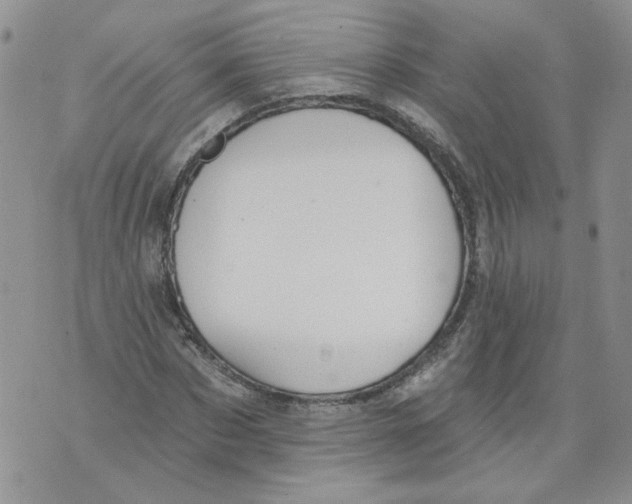 X0000071770873200607282210