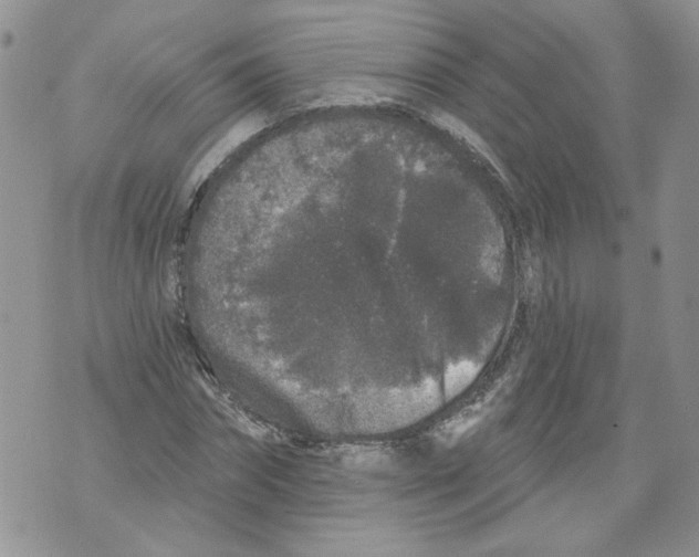 X0000071770874200607282210