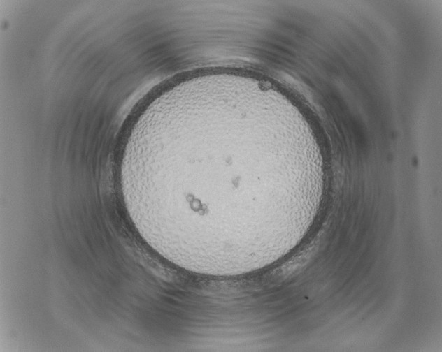 X0000071770875200607282210