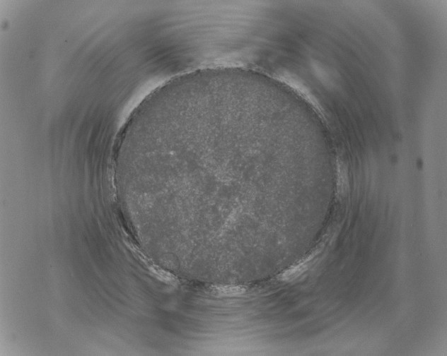 X0000071770878200607282210