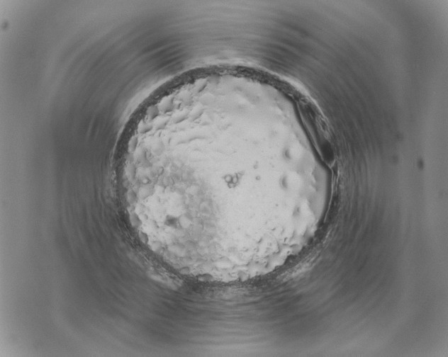 X0000071770879200607282210