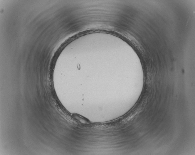 X0000071770880200607282210