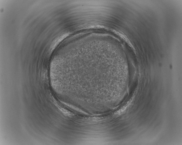 X0000071770881200607282210