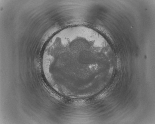 X0000071770882200607282210