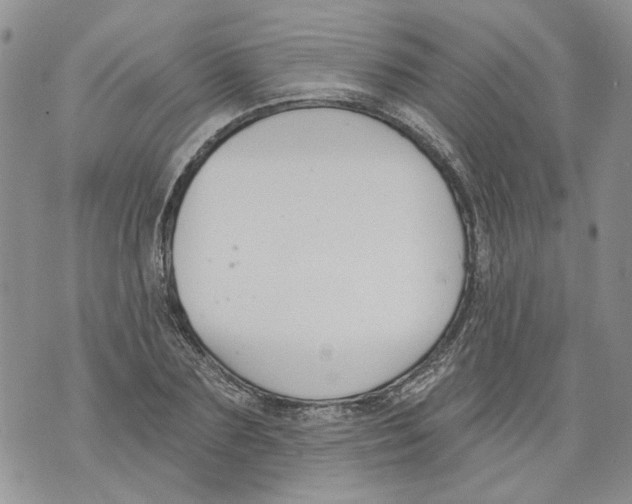 X0000071770883200607282210