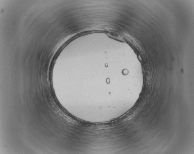 X0000071770884200607282210