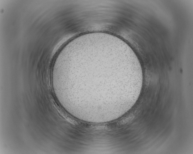 X0000071770886200607282210