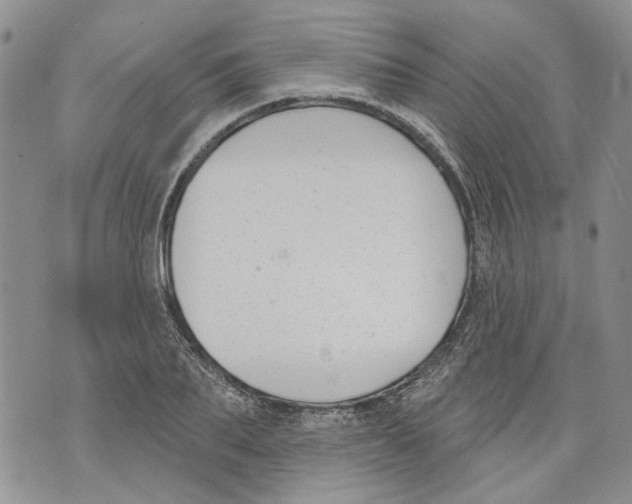 X0000071770887200607282210