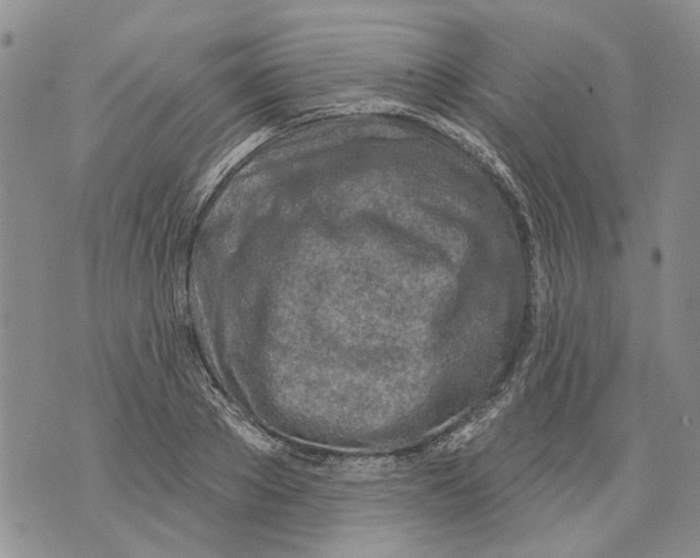 X0000071770889200607282210