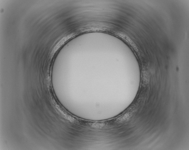 X0000071770890200607282210