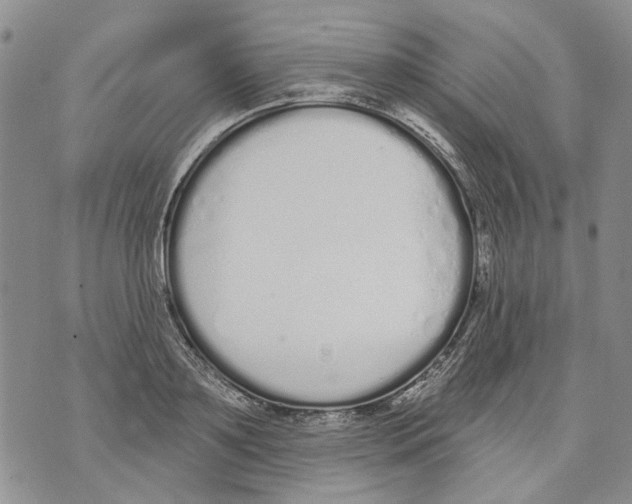 X0000071770891200607282210