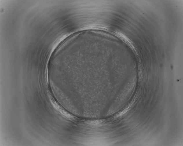 X0000071770892200607282210