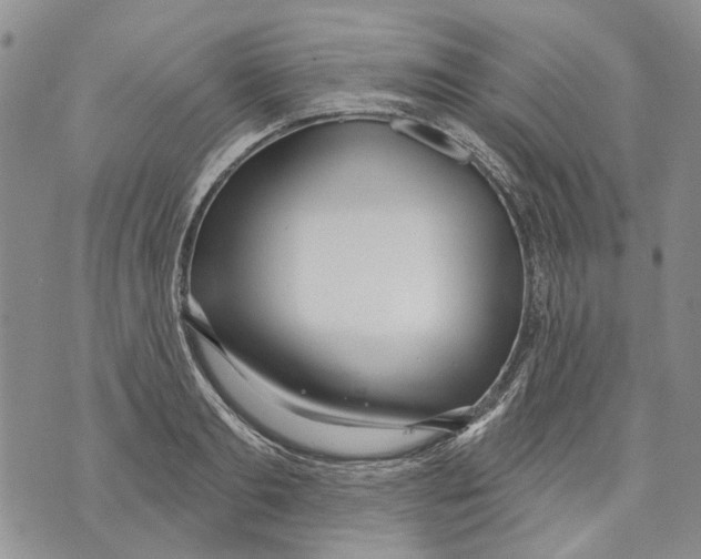 X0000071770893200607282210