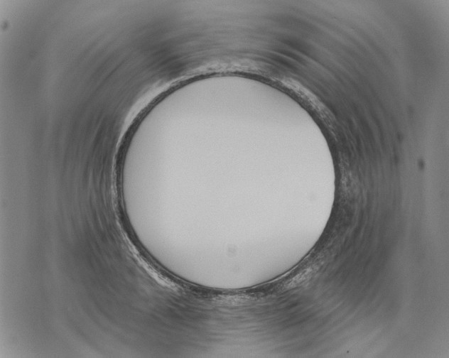 X0000071770894200607282210