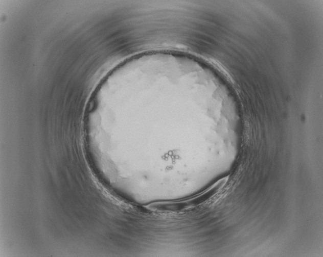 X0000071770895200607282210