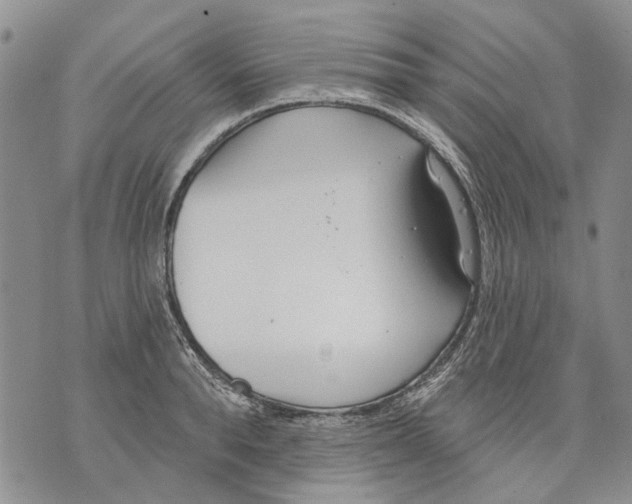 X0000071770896200607282210