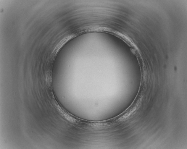 X0000071770897200607282210