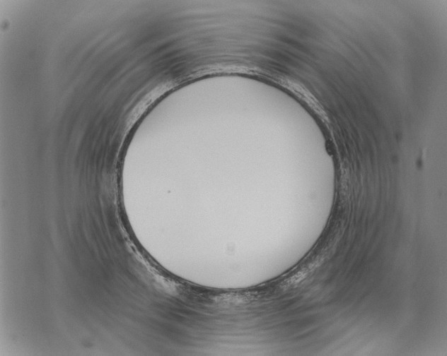 X0000071770898200607282210