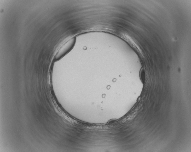 X0000071770900200607282210