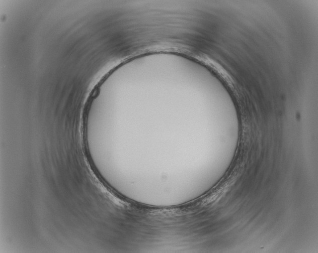 X0000071770902200607282210